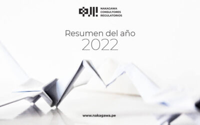 Resumen del año 2022