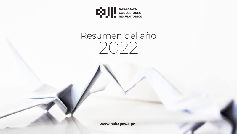Resumen del año 2022